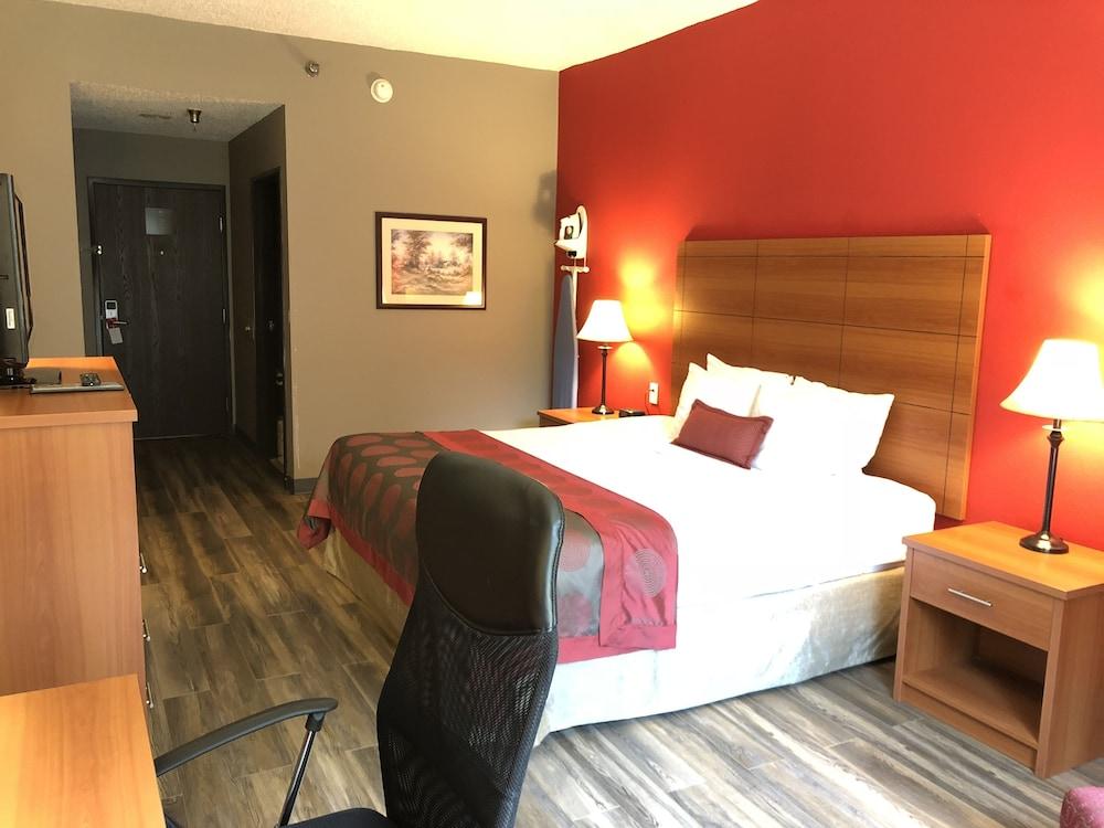 Ramada by Wyndham Pearl/Jackson Airport photo 8