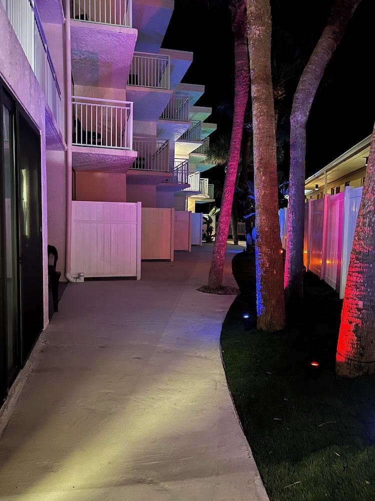 Flamingo Inn Beachfront photo 5