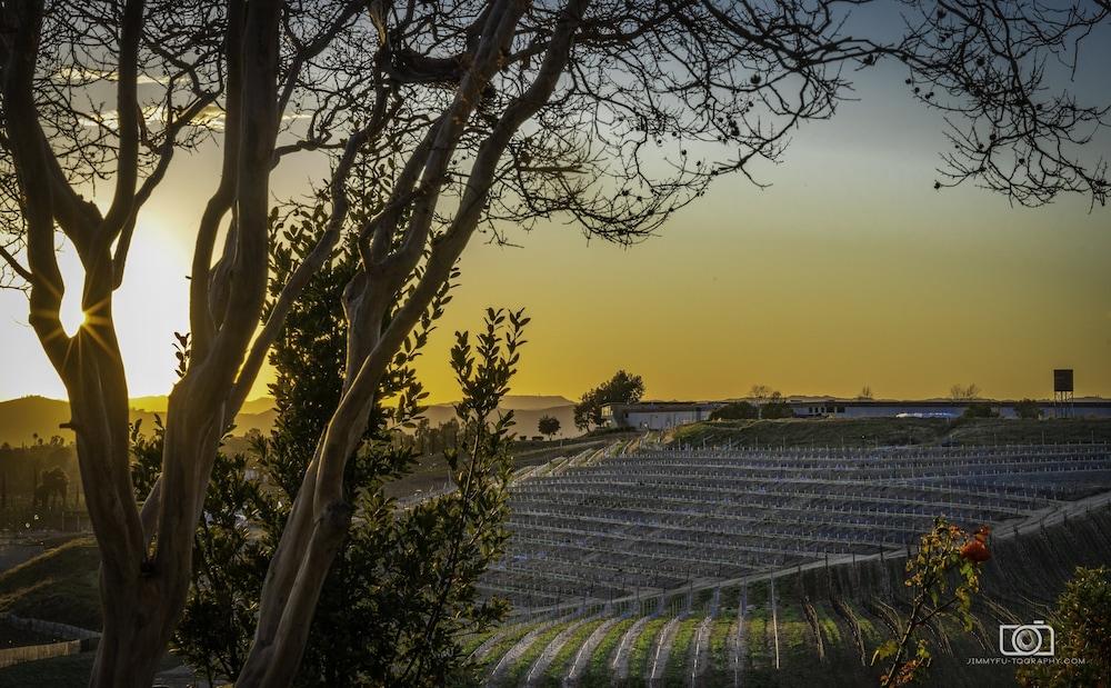 Europa Village Wineries and Resort photo 62