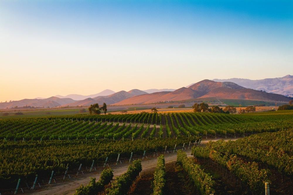 Appellation Healdsburg photo 7