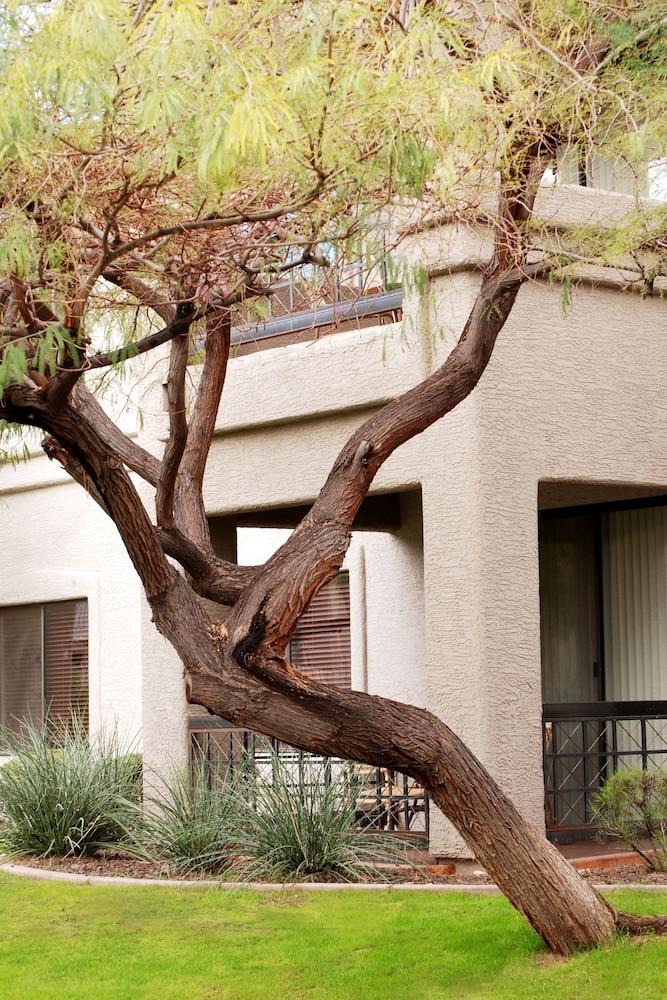 Raintree at Phoenix South Mountain Preserve photo 55