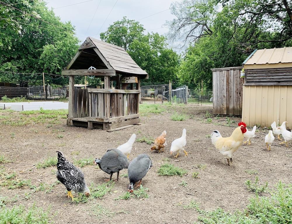 Old Irish Inn photo 50
