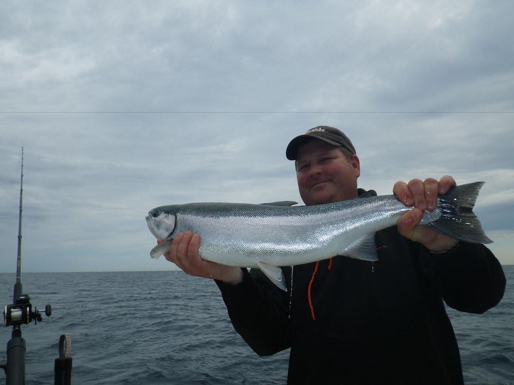 Red Moose Lodge photo 25