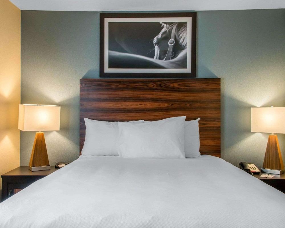 MainStay Suites Cotulla photo 10