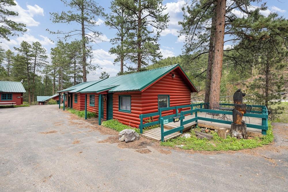 Ponderosa Pines photo 57