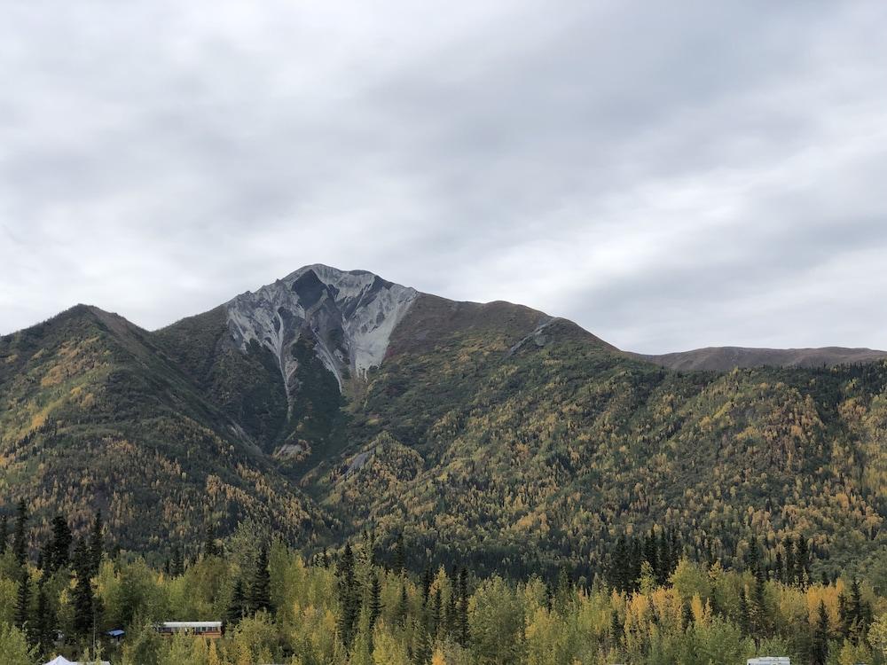 Wrangell Mountain Lodge photo 79