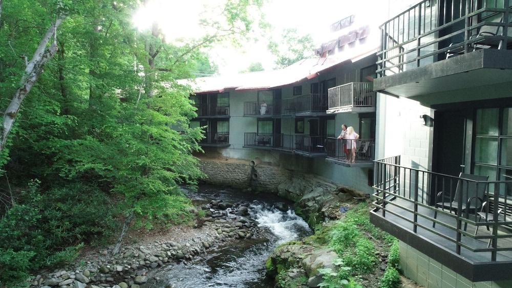 Bear Creek Inn photo 36