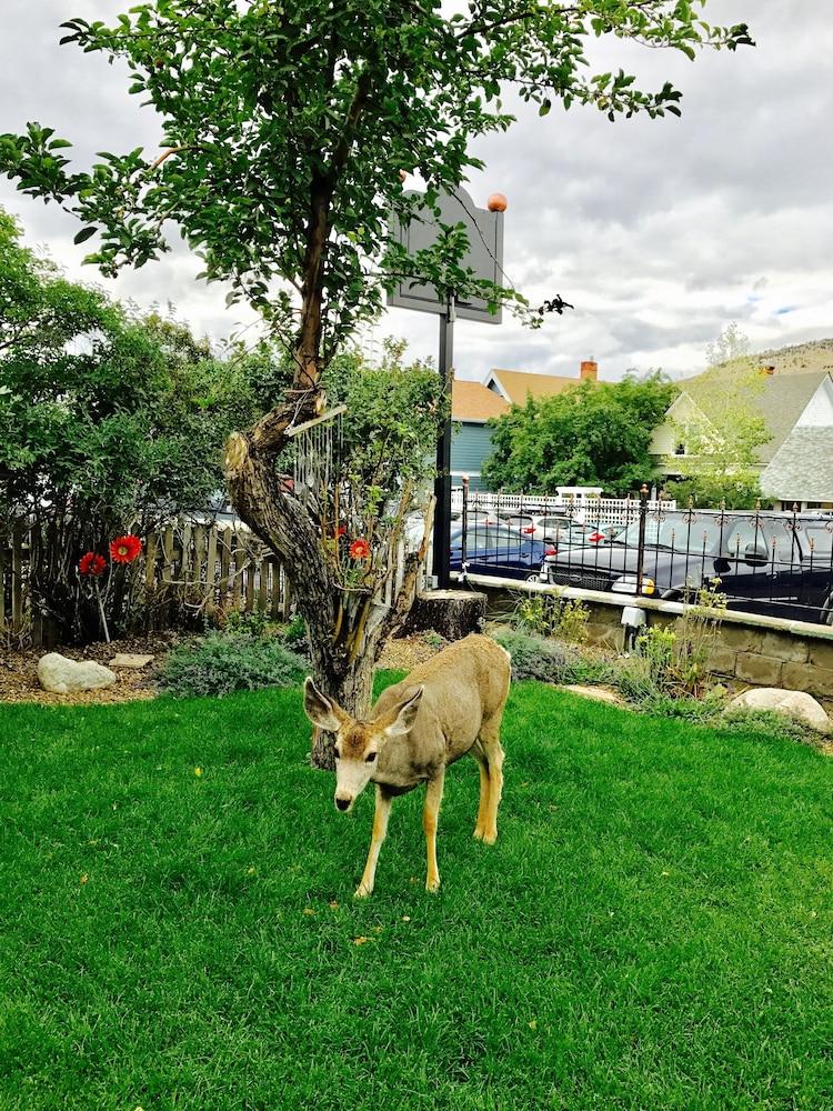 Park Hotel Yellowstone photo 45