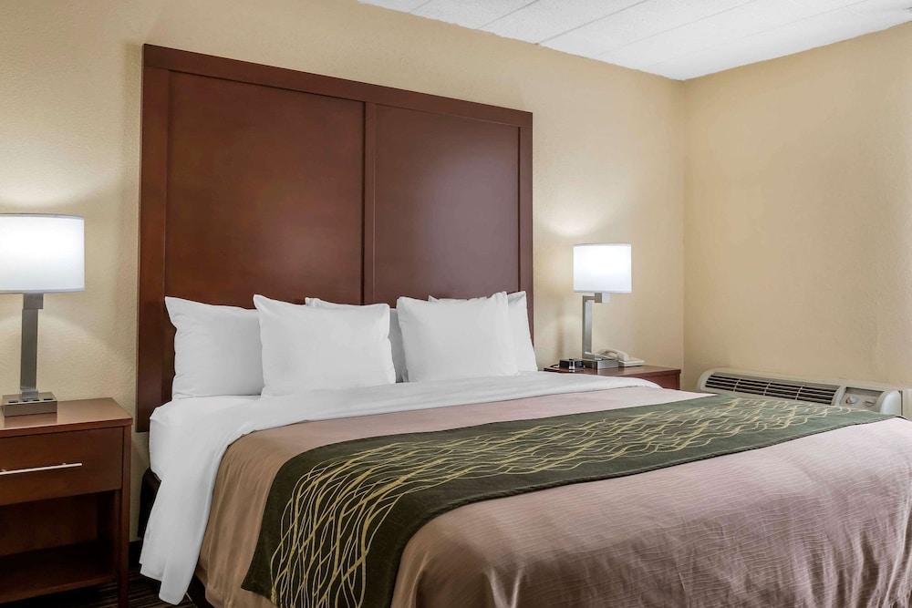 Comfort Inn - Pocono Mountains photo 21
