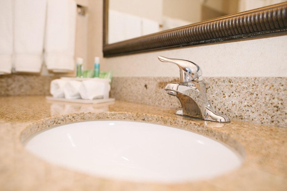 Holiday Inn Express Hotel & Suites Custer by IHG photo 52