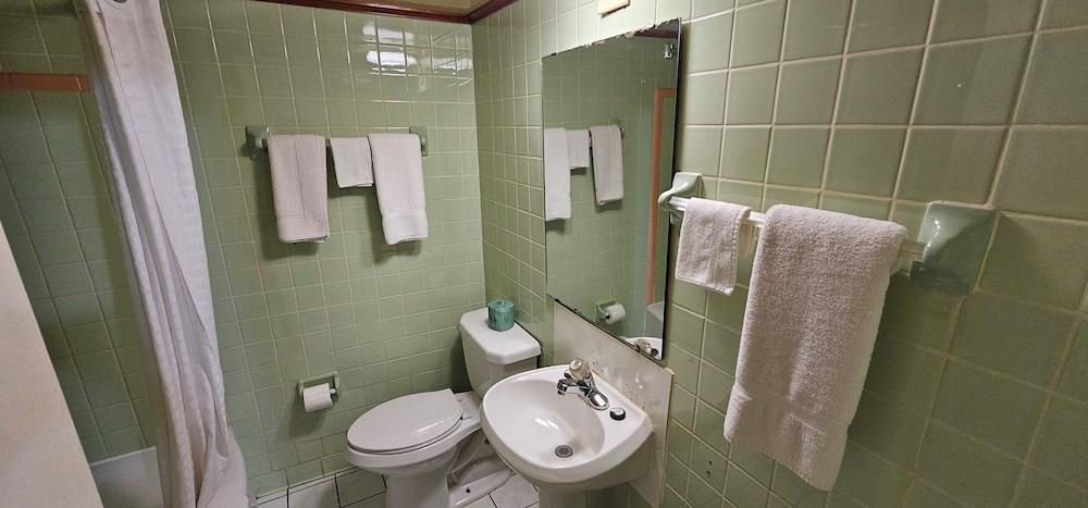 Deluxe Inn photo 9
