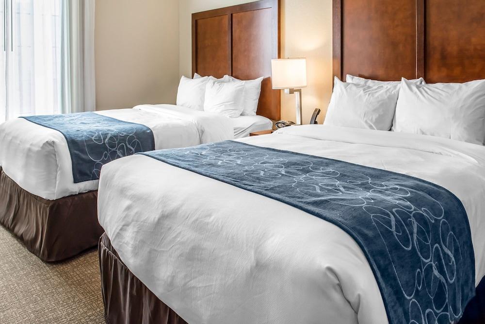 Comfort Suites Near Potomac Mills photo 5