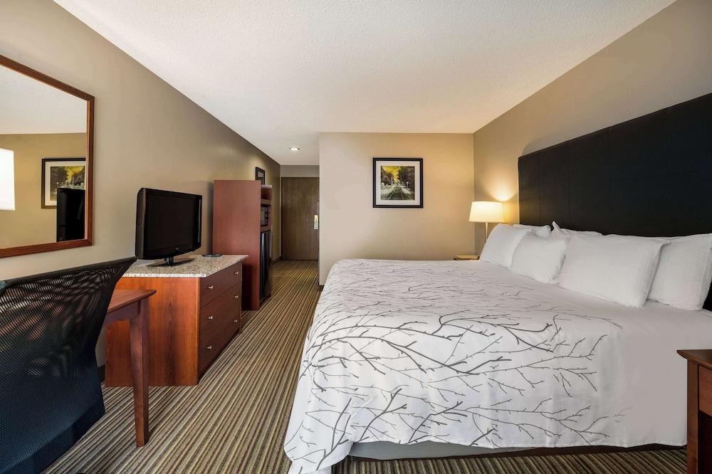 Best Western Park Oasis Inn photo 30