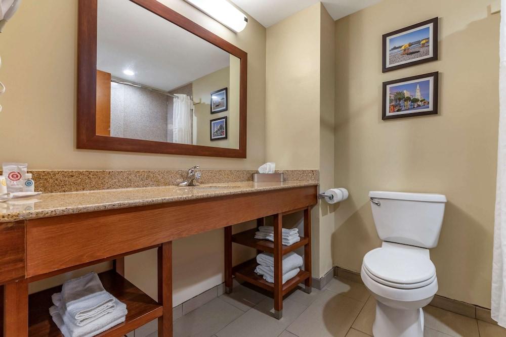 Comfort Inn & Suites Orangeburg photo 16