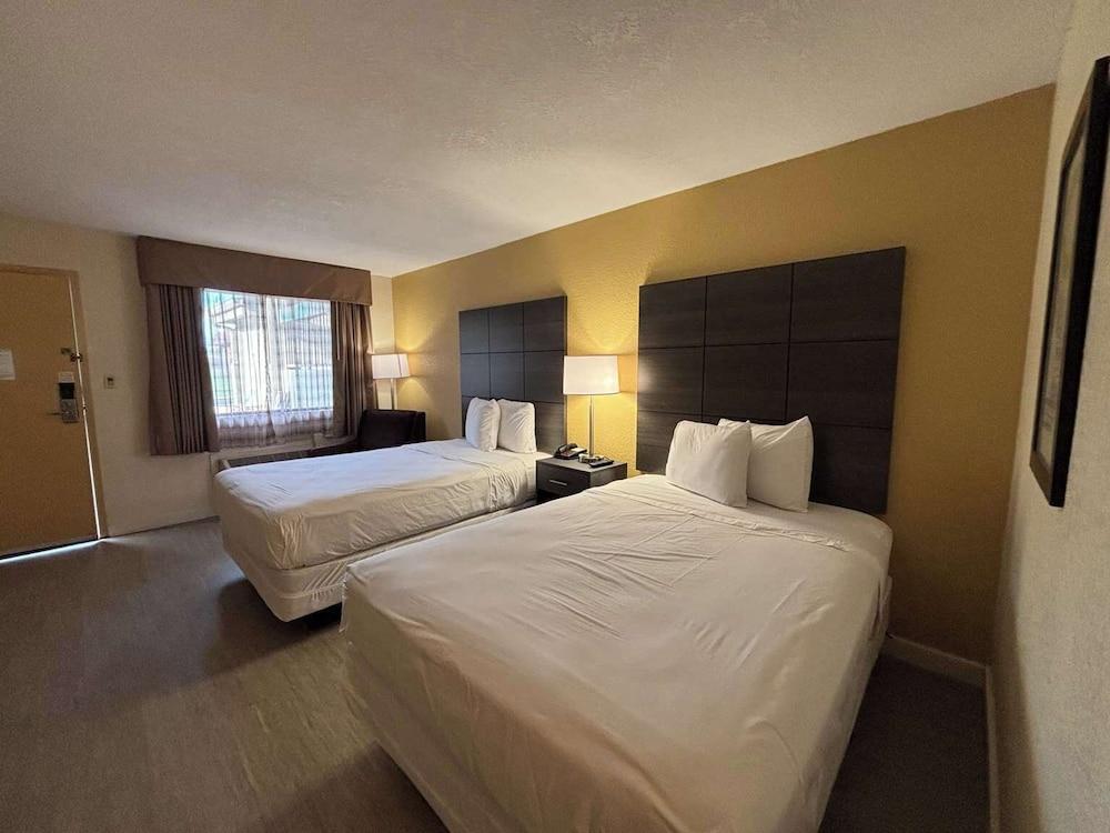 Studio 6 Suites Charlotte, NC - Northlake photo 11