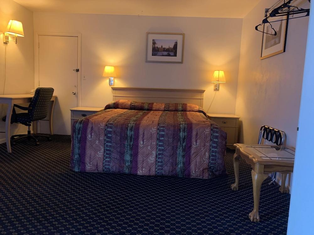 Surrey Motel photo 5