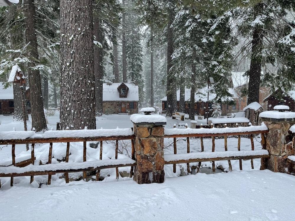The Cottage Inn photo 54