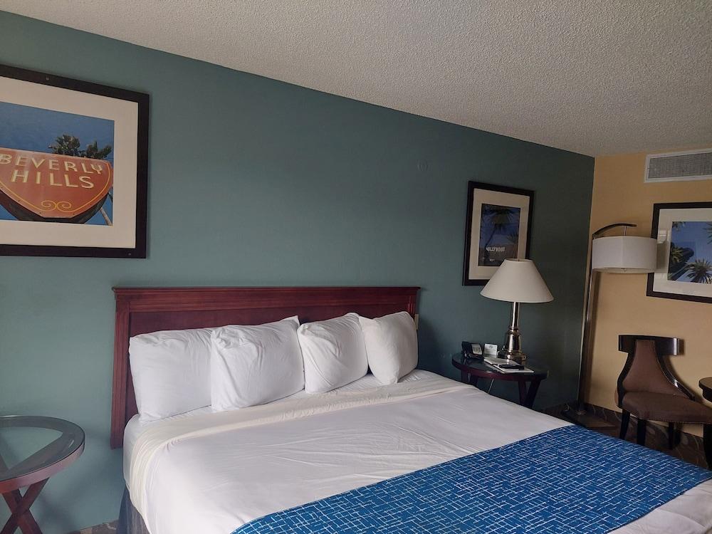 Ville 718 photo 7