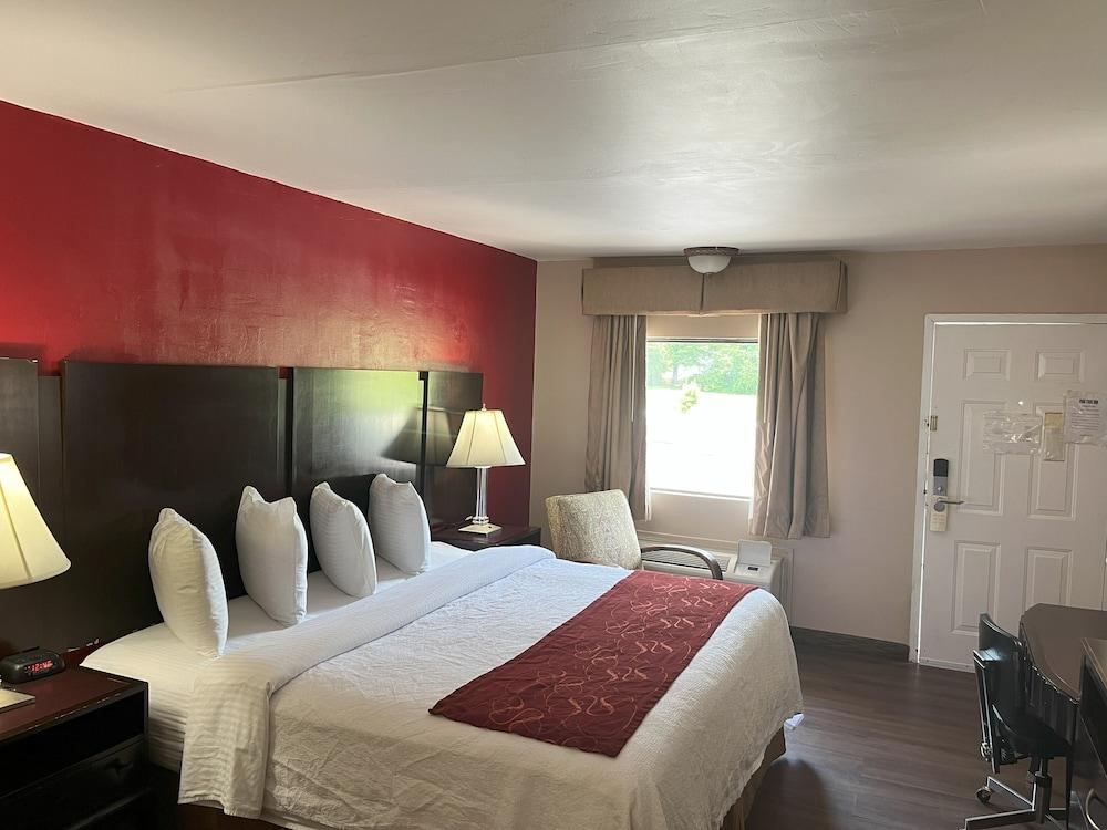 Pine Tree Inn photo 42
