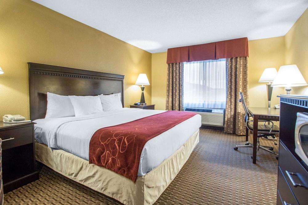 Comfort Suites Wisconsin Dells Area photo 43