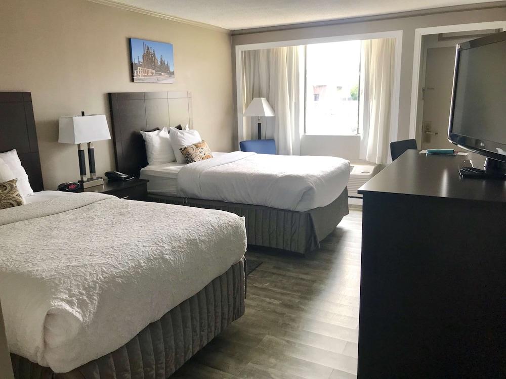 SureStay Plus Hotel by Best Western Lehigh Valley photo 5