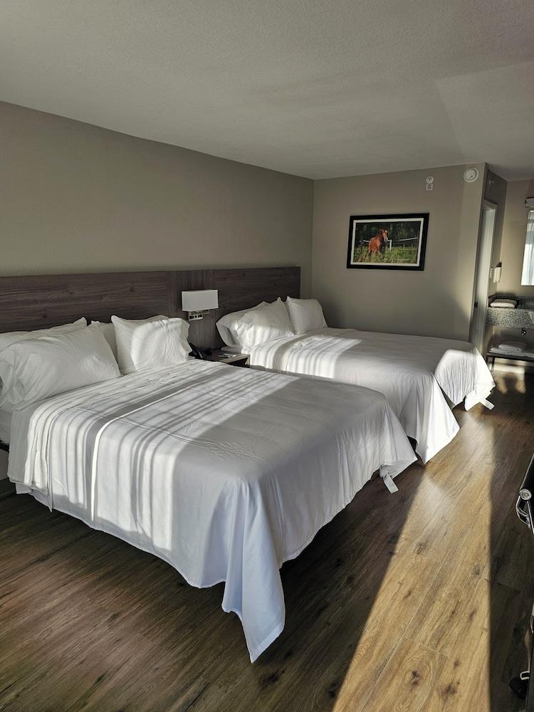 Quality Inn & Suites Ocala I-75 photo 2