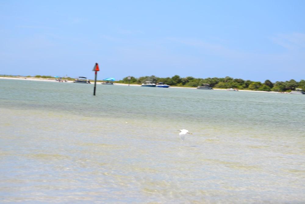 Sun Life Beach Hotel photo 25