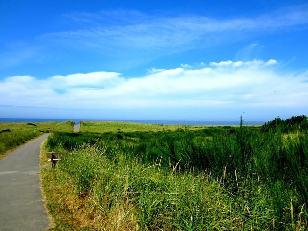Islander Westport photo 81