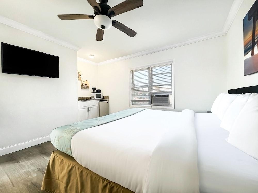 Hollywood Beach Hotels photo 13