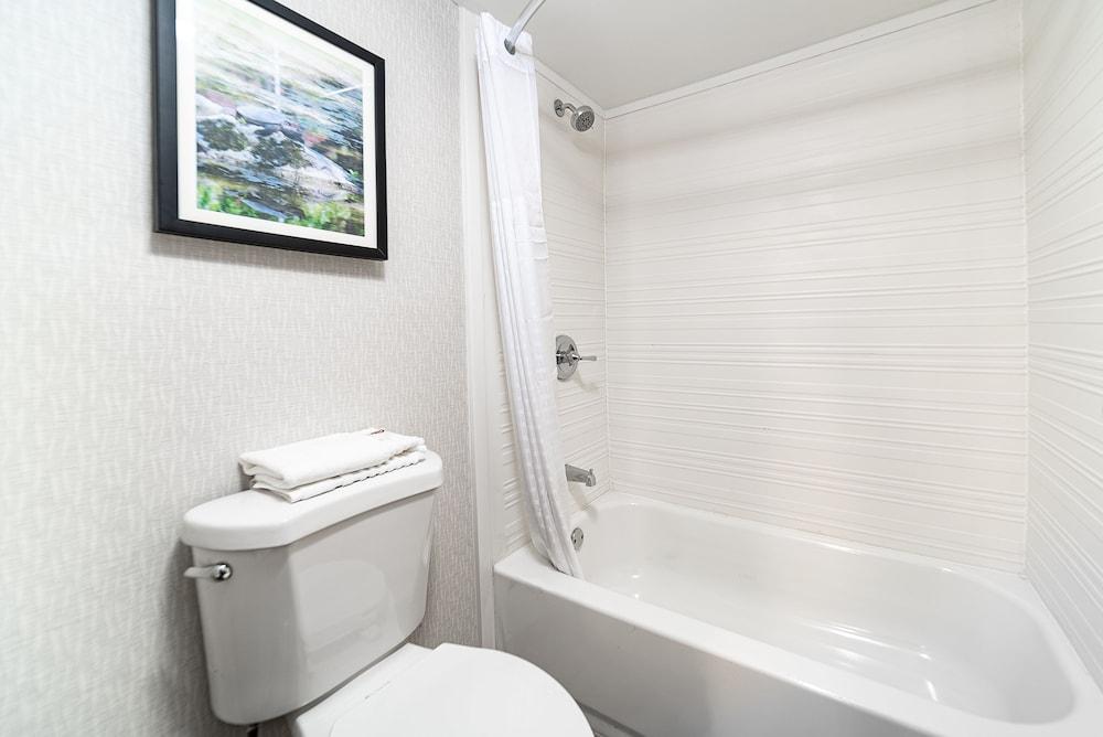 Comfort Inn & Suites Wyomissing/Reading photo 77