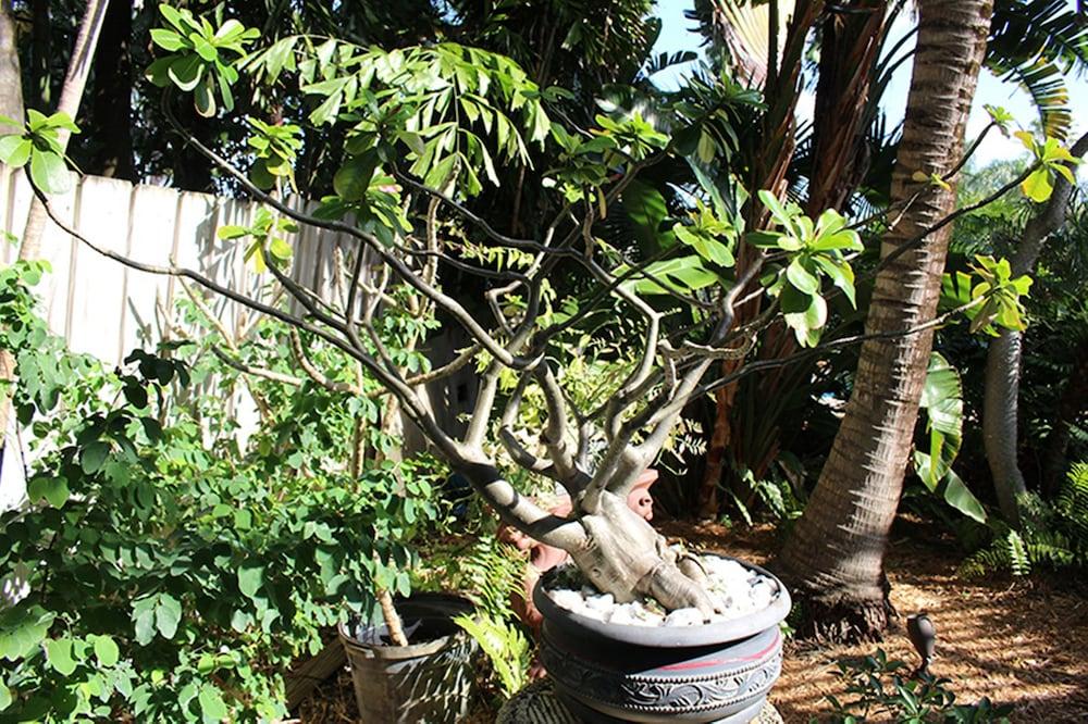 The Cabanas Guesthouse & Spa - Caters to Gay Men photo 62