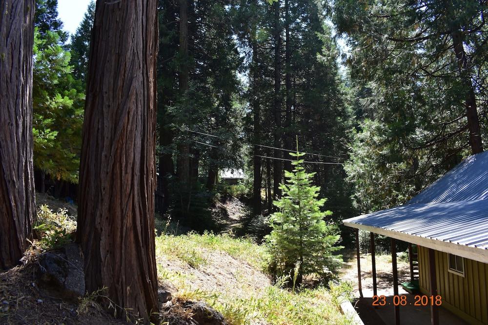 White Chief Mountain Lodge photo 30