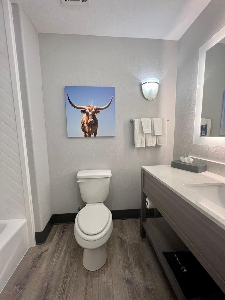 La Quinta Inn & Suites by Wyndham Big Spring photo 41