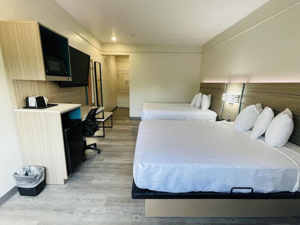 Sonesta Essential Hotel Houston-I-45 Spring photo 17