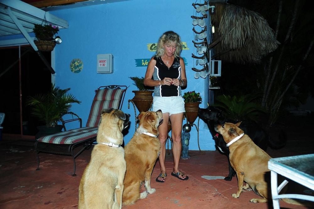 Conch On Inn Motel photo 7