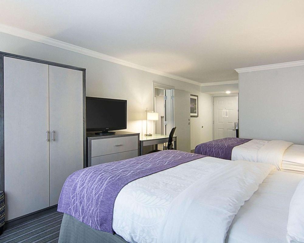 Comfort Inn Williamsburg Gateway photo 34