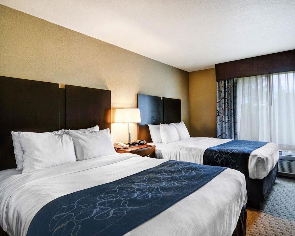 Comfort Suites near Hot Springs Park photo 11