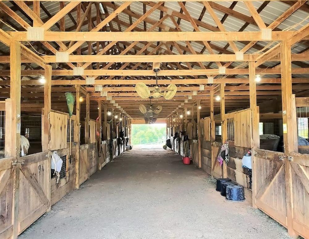 Briggs Brothers Ranch & Resort photo 3