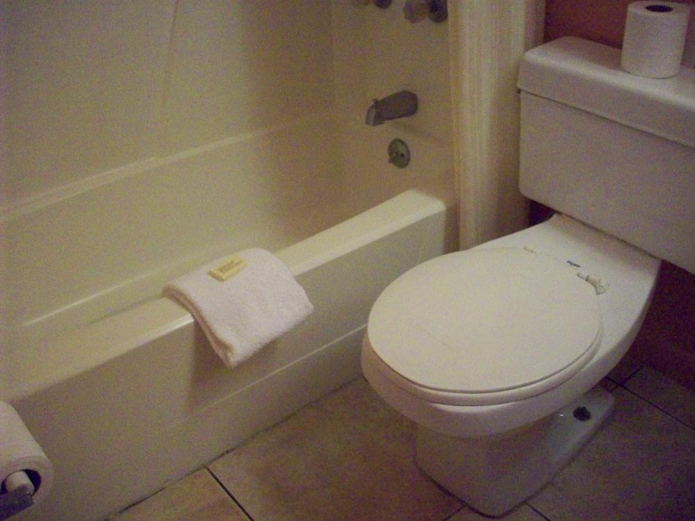 All Suite Motel photo 21