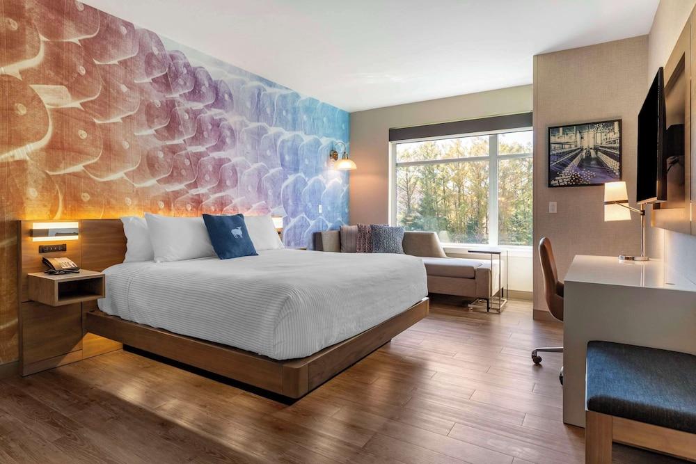 Cambria Hotel Manchester South Windsor photo 61