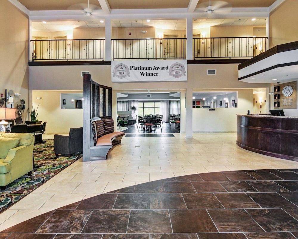 Comfort Suites near Hot Springs Park photo 4