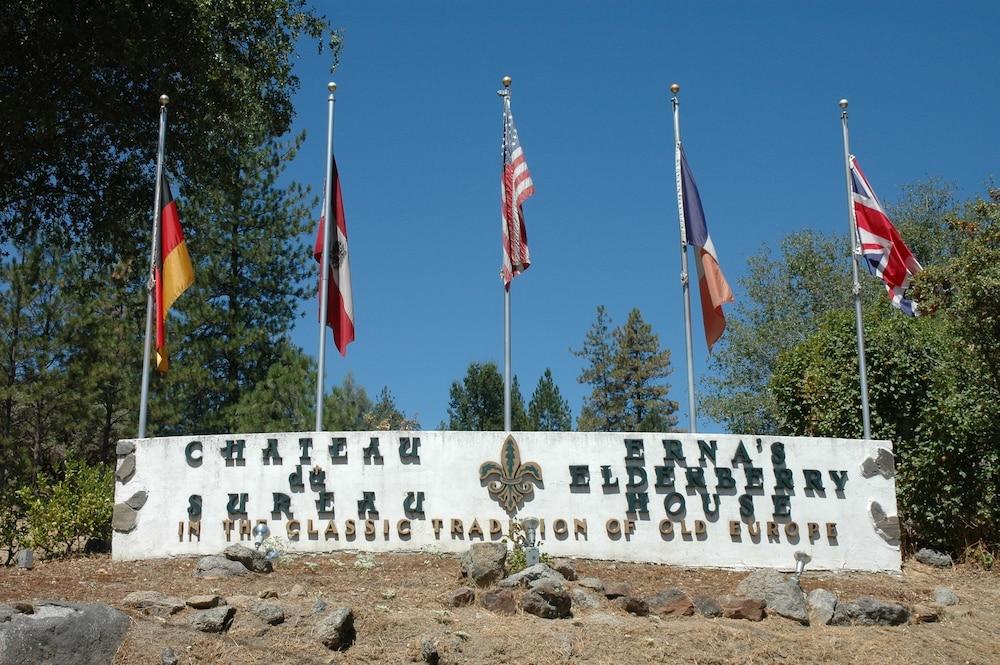 Château du Sureau photo 10