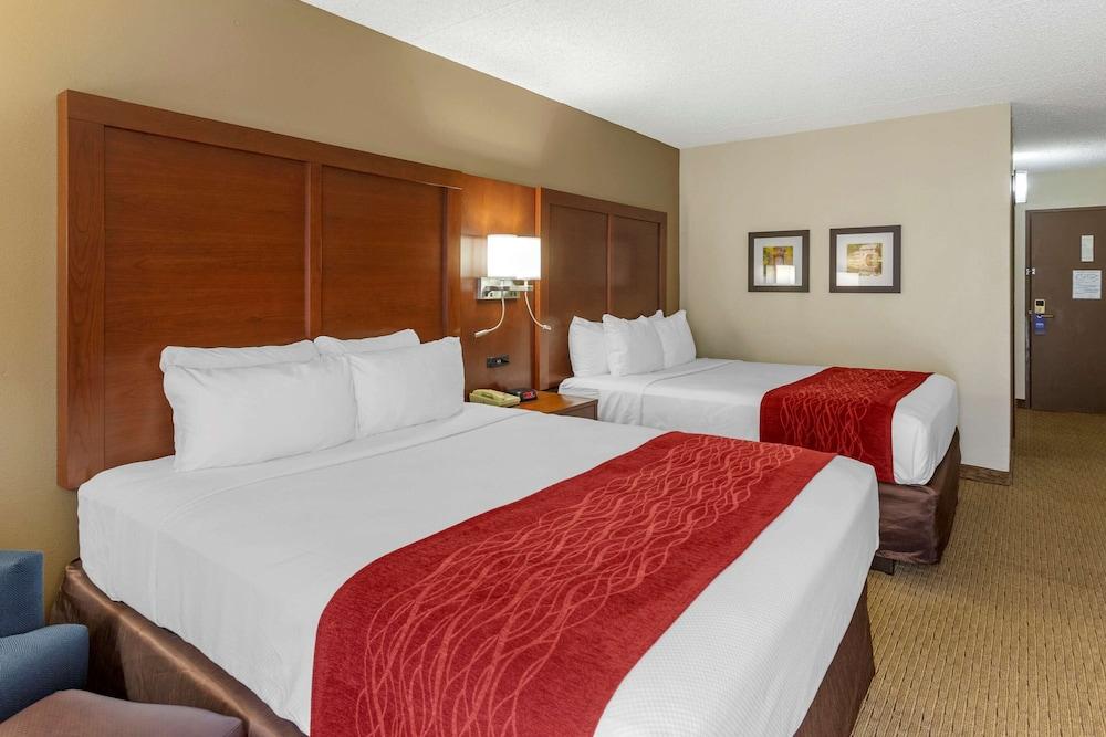 Comfort Inn & Suites Rochelle - DeKalb photo 59