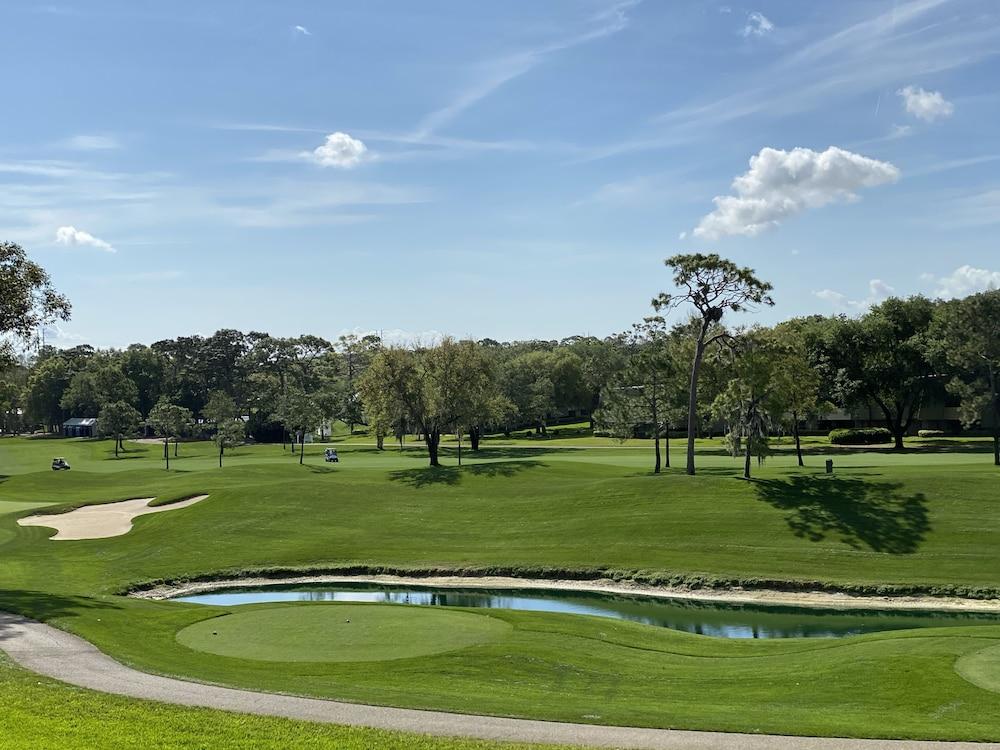 Innisbrook Resort photo 59
