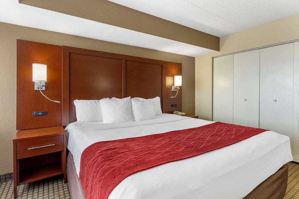 Comfort Inn & Suites Rochelle - DeKalb photo 7