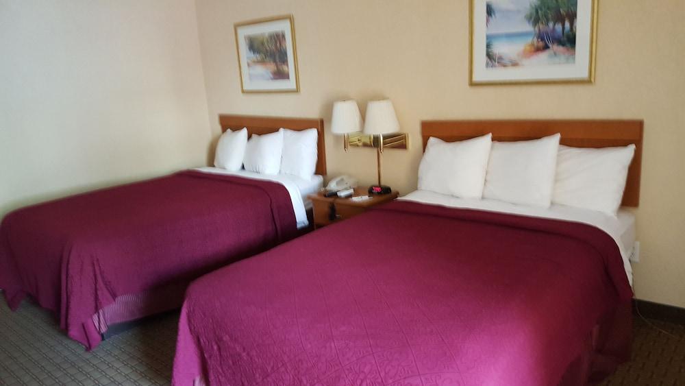 Econo Lodge Tampa near Busch Gardens photo 33