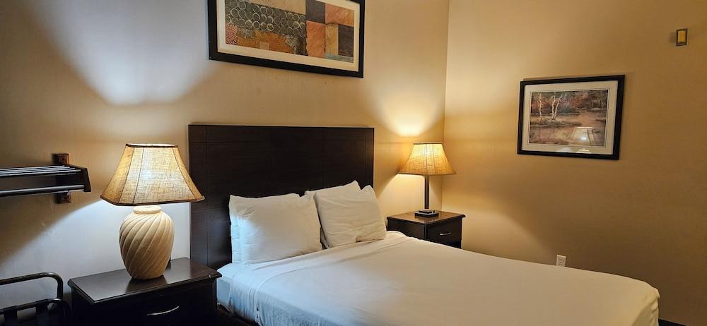 Bellis Inn photo 13