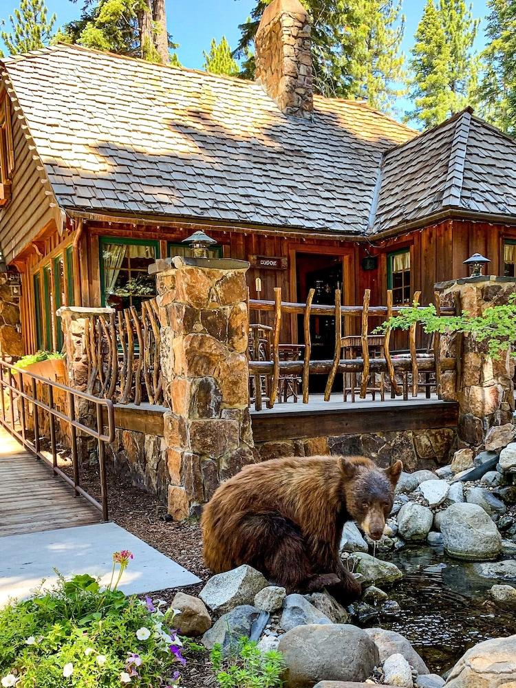 The Cottage Inn photo 74