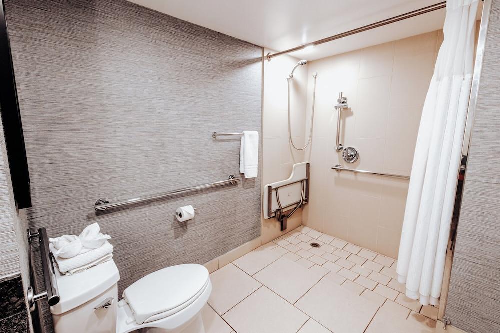 DoubleTree Suites by Hilton Htl & Conf Cntr Downers Grove photo 43