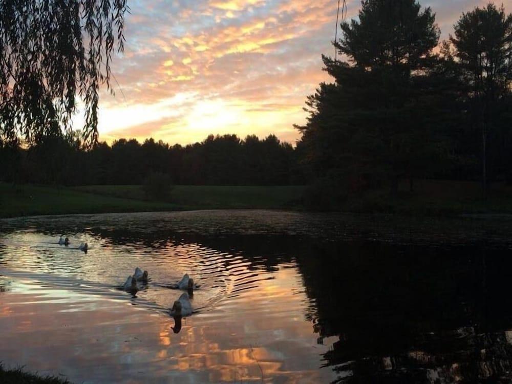 Baumann's Brookside Resort photo 17